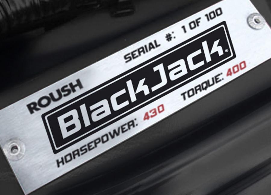  Ford Mustang BlackJack by Roush 2008 года  (фото 4 из 16)